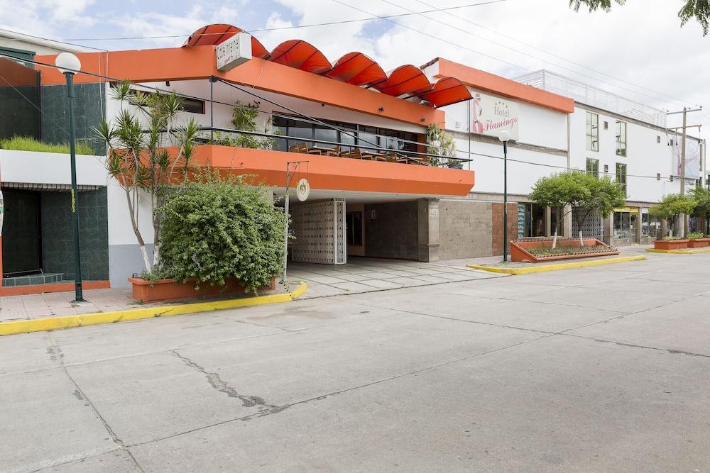 Hotel Flamingo Irapuato Esterno foto