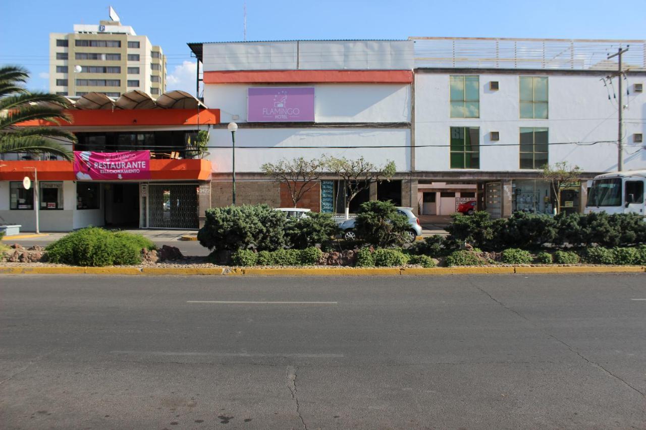 Hotel Flamingo Irapuato Esterno foto